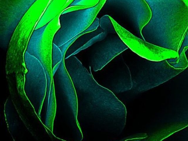 20170424_171434_1_web_a4