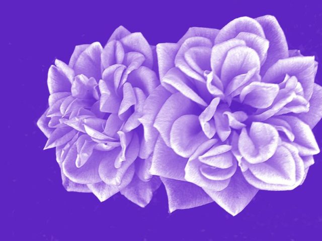 20170507_175326_1_a4_web