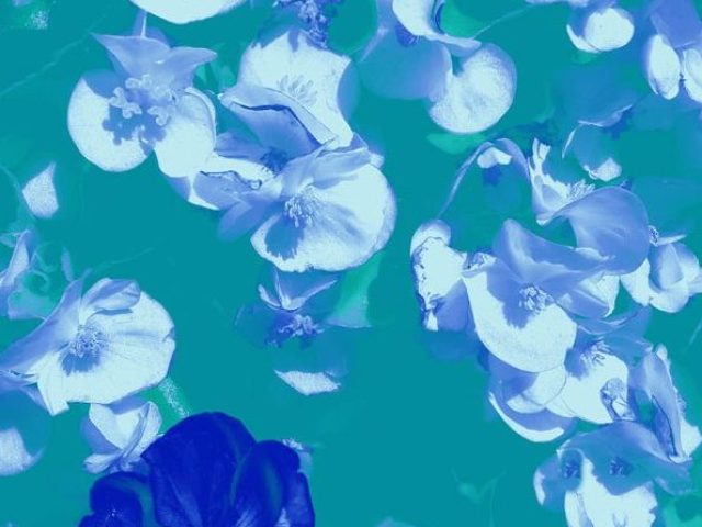 20170513_122445_1_a4_web