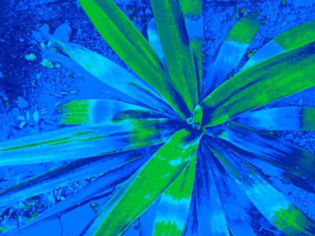 DSCN0976_1_1a4_web