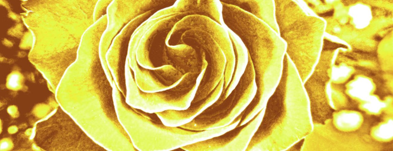 DSCN1086_2_a4_web