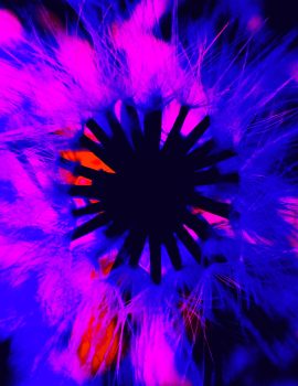 DSCN1193_2_a4_web