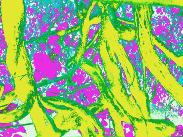DSCN1432_4_a4_web