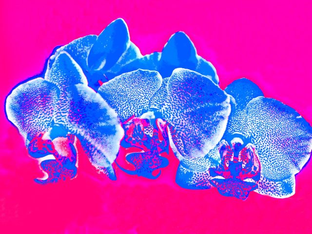 DSC_1135_3_300_web